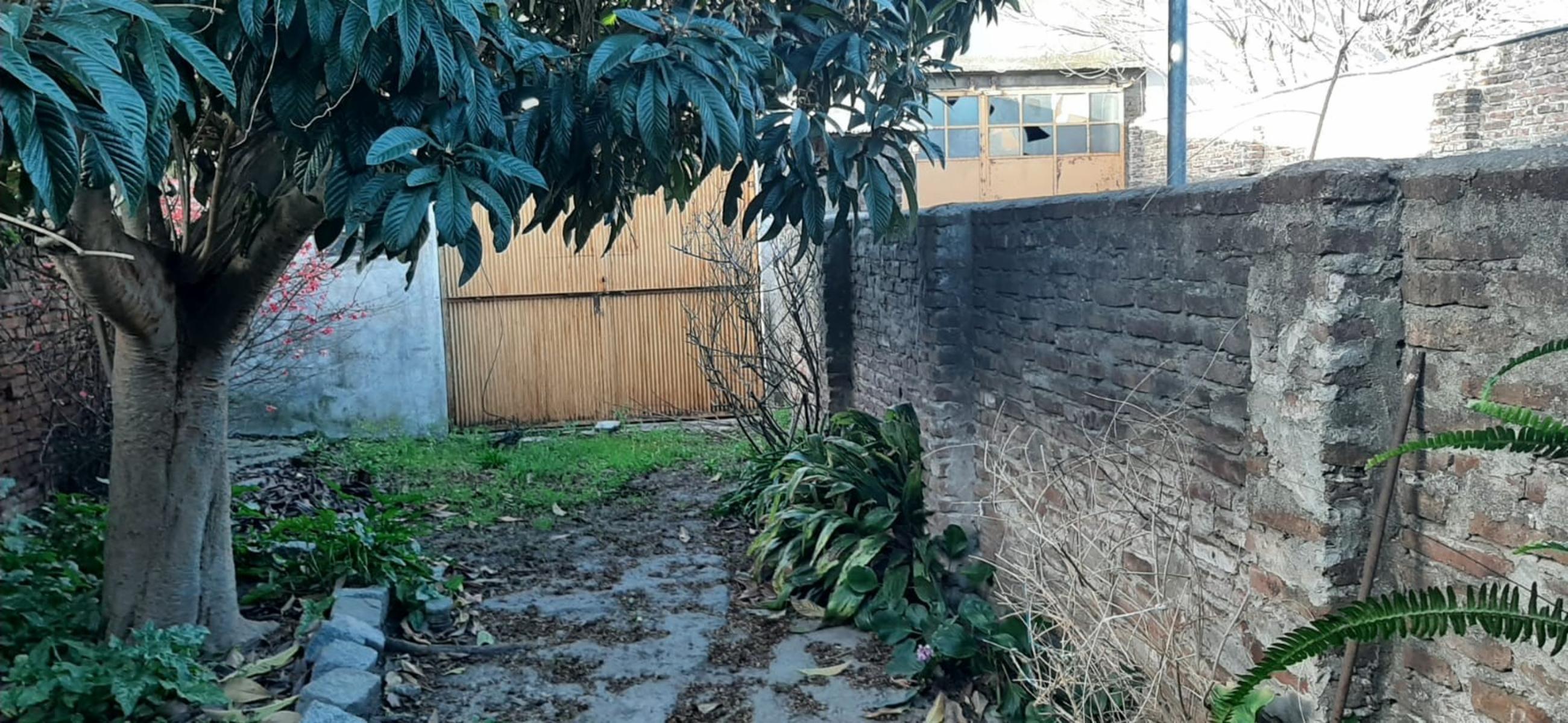 Av Rivadavia 500 · Tres Arroyos — foto 13