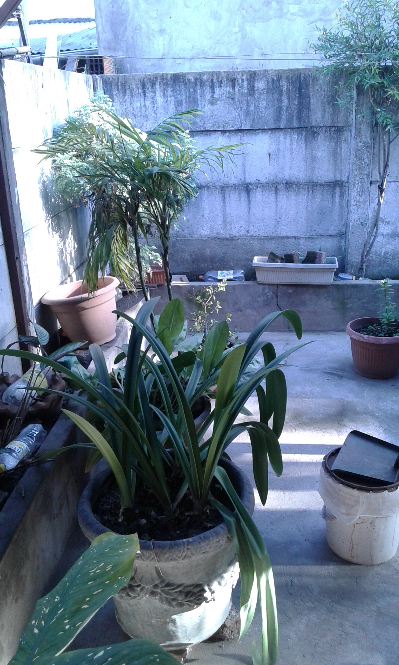 eva peron 5800 · San Martín — foto 3
