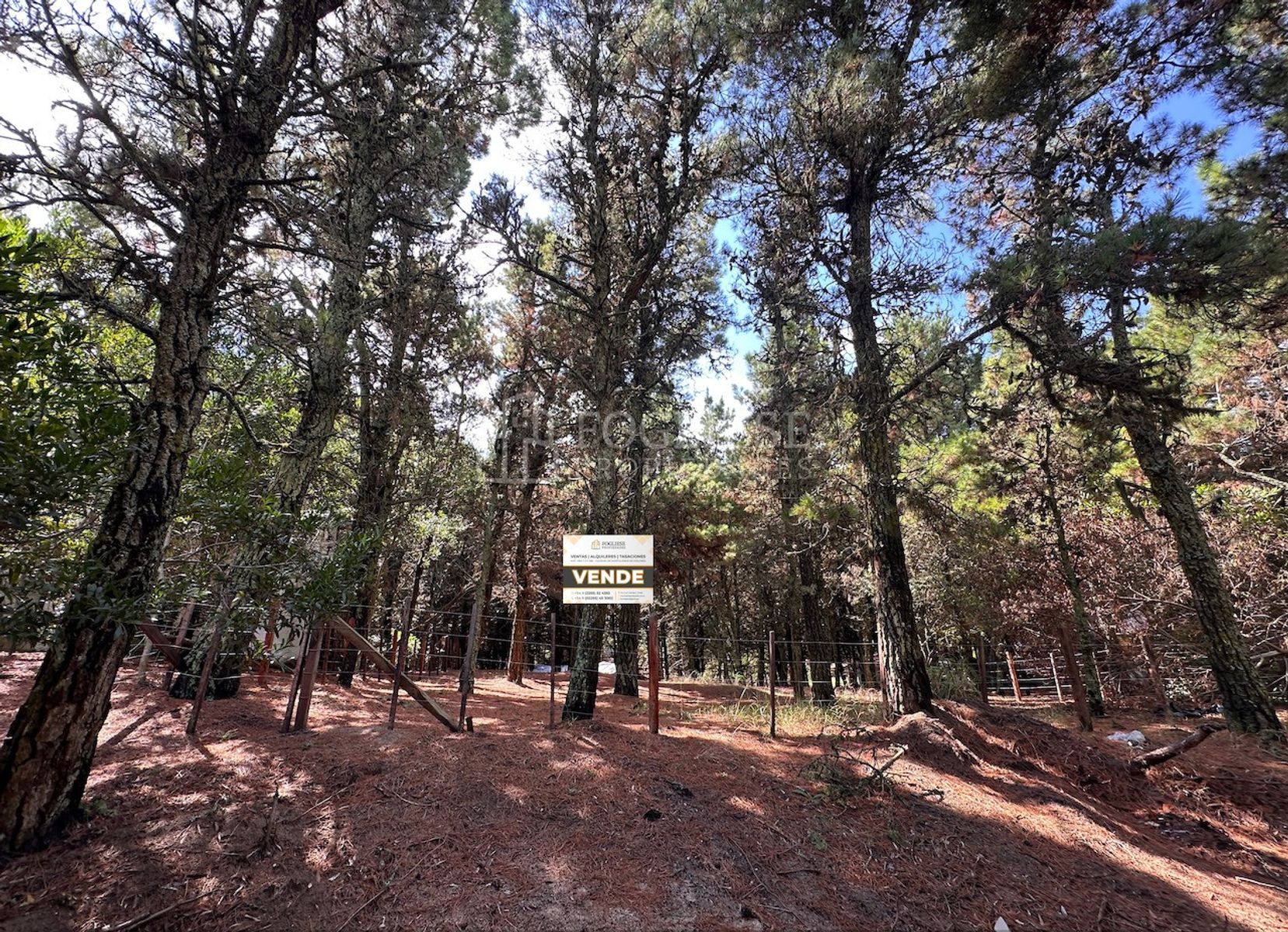 Pagano · Villa Gesell — foto 3