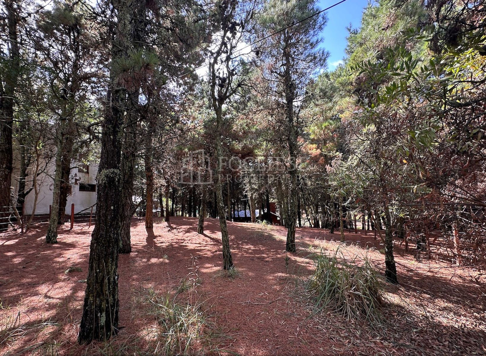 Pagano · Villa Gesell — foto 4