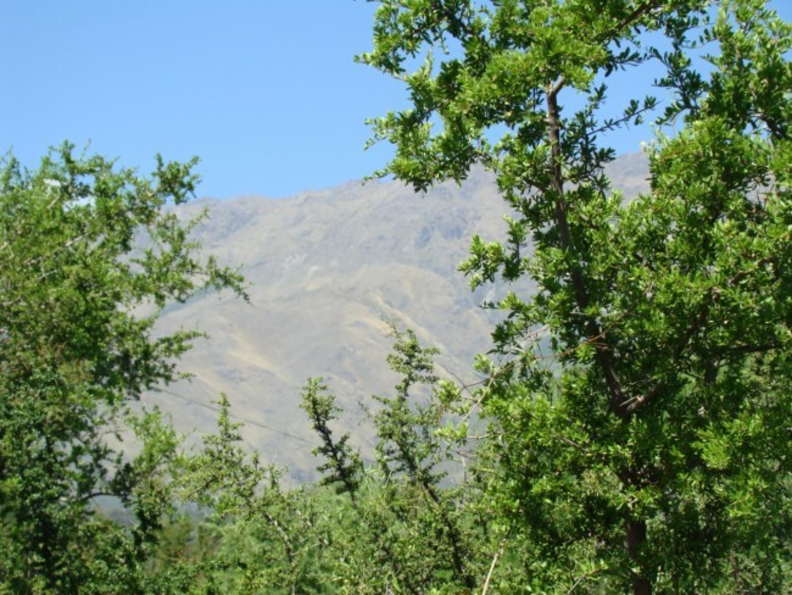La Población · San Javier — foto 5