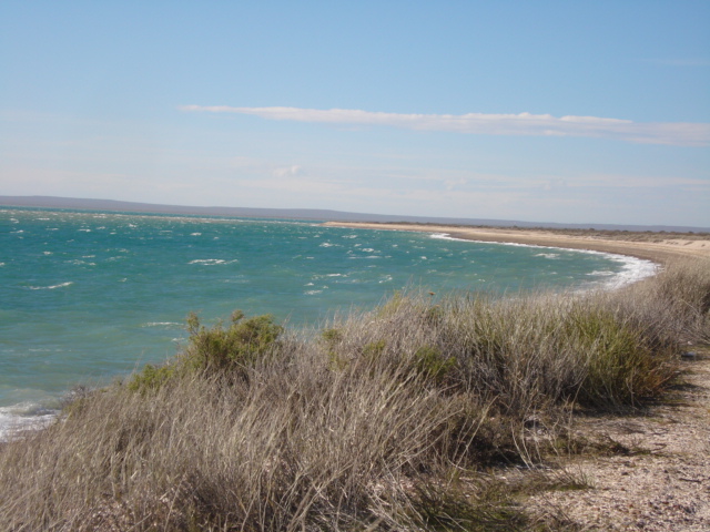 SACO VIEJO · San Antonio — foto 25
