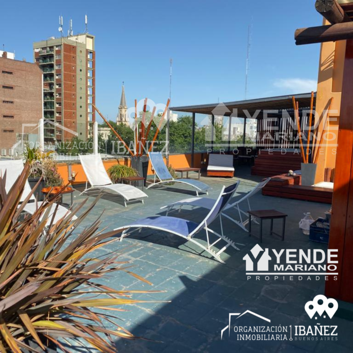 SAAVEDRA · Junín — foto 19