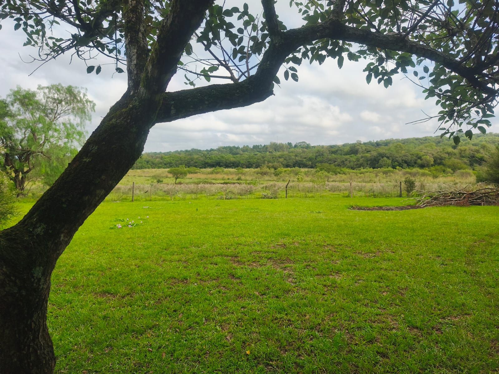 Ruta 1 San José Misiones · Apóstoles — foto 6