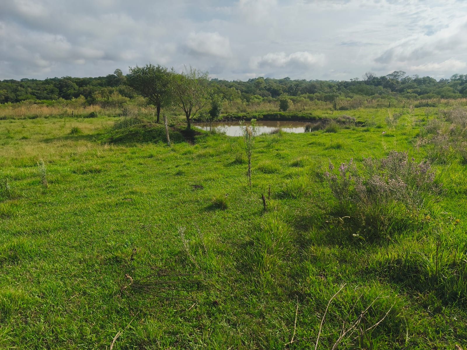 Ruta 1 San José Misiones · Apóstoles — foto 10
