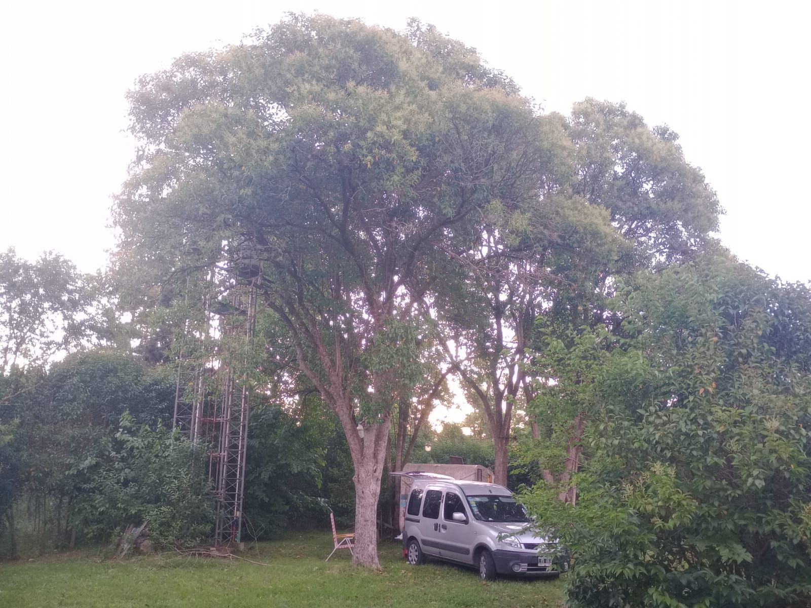 J M Perez · Luján — foto 3