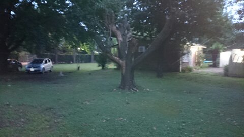 Las Gardenias 2300 · Pilar — foto 3