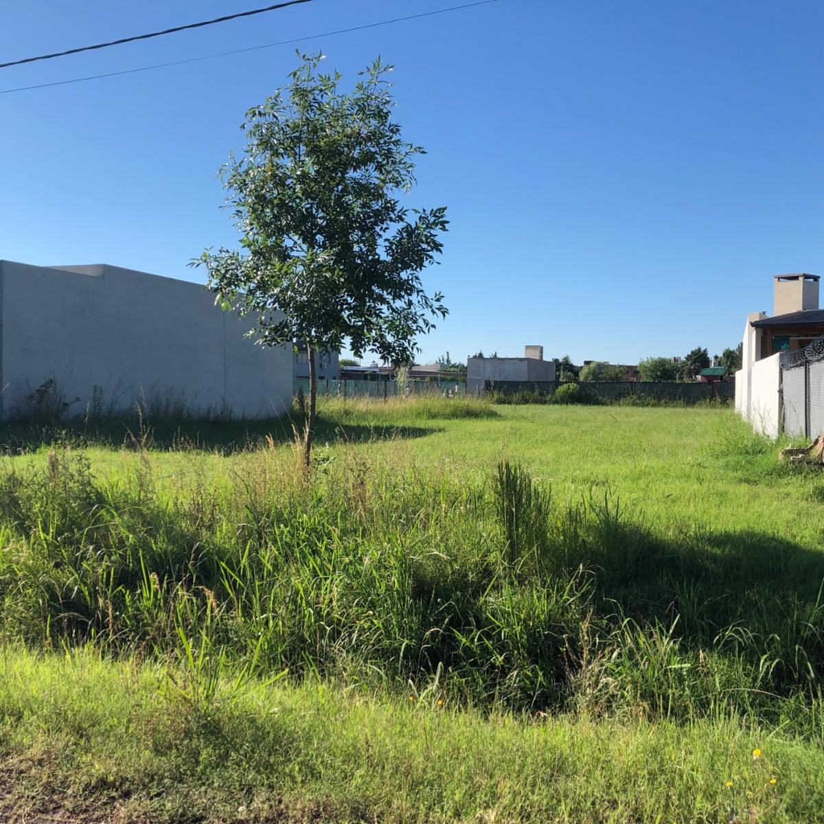Av Mitre · Rosario — foto 4