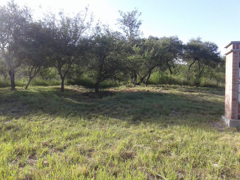 Nº DE REF. 309 TERRENO DE 800 MTS EN Bº CERRADO C/INCREIBLE VISTA EXC ENTORNO A 5 MIUNUTOS DE C