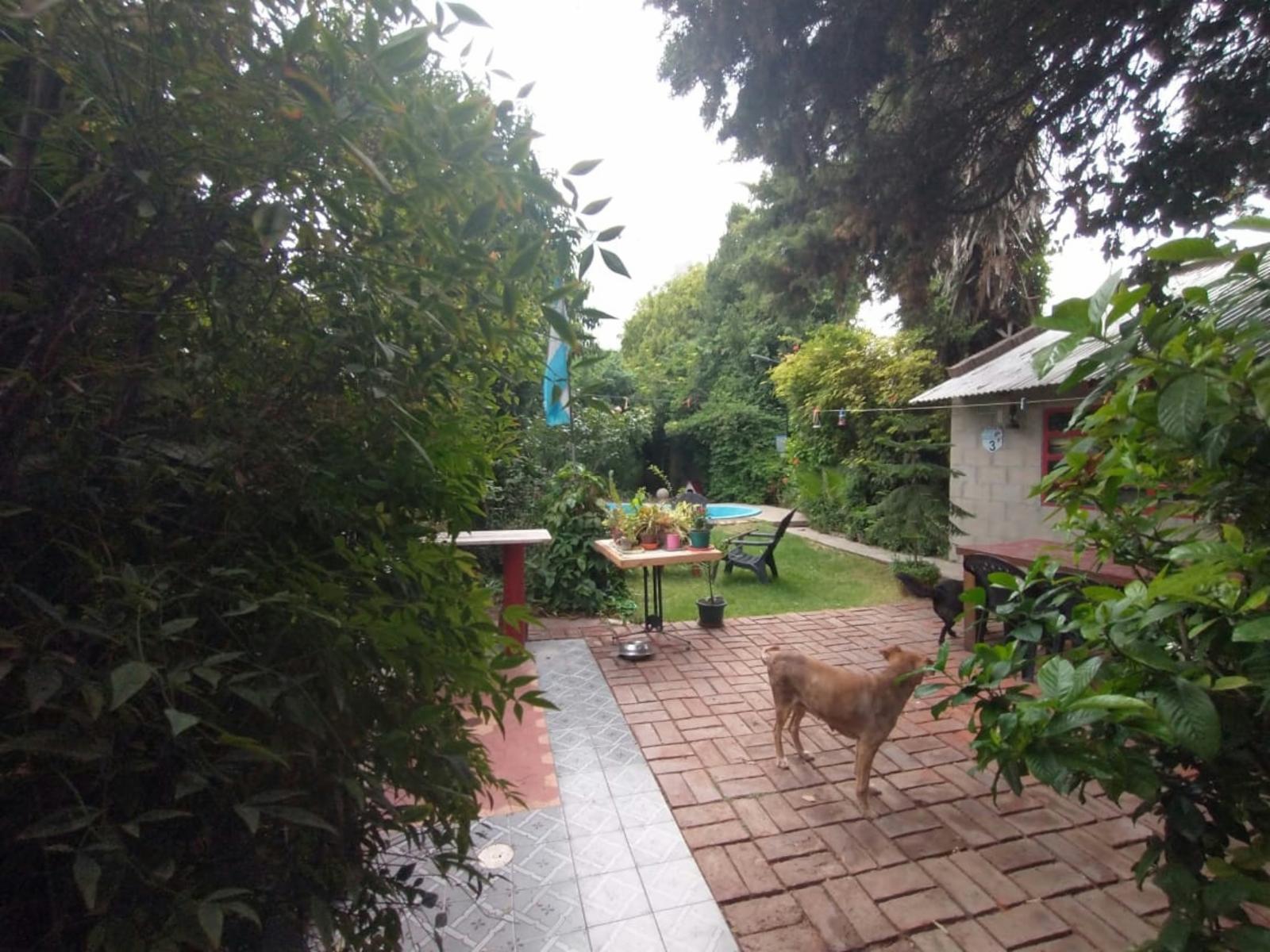 Beruti 6400 · San Martín — foto 22