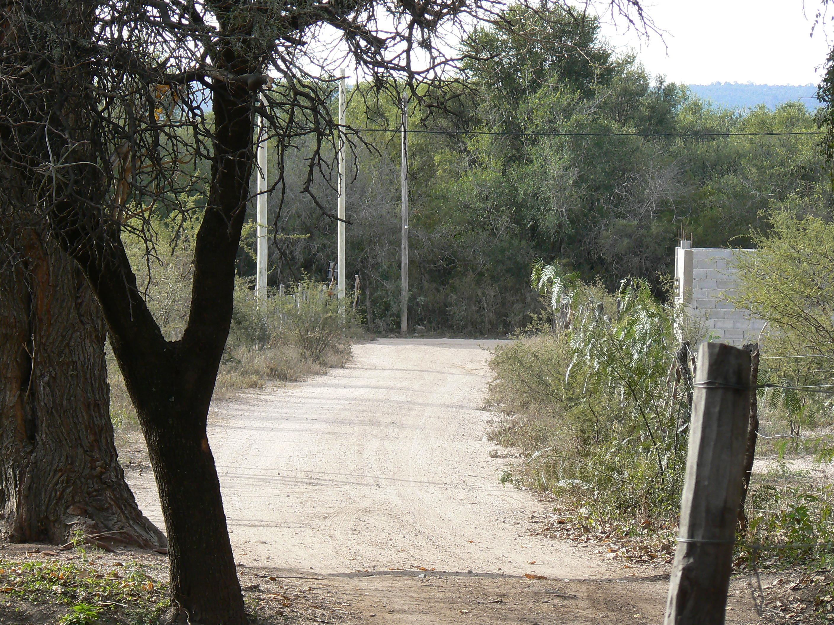 TERRENO CON HERMOSOS ALGARROBOS EN SAN MARCOS 1000 M2