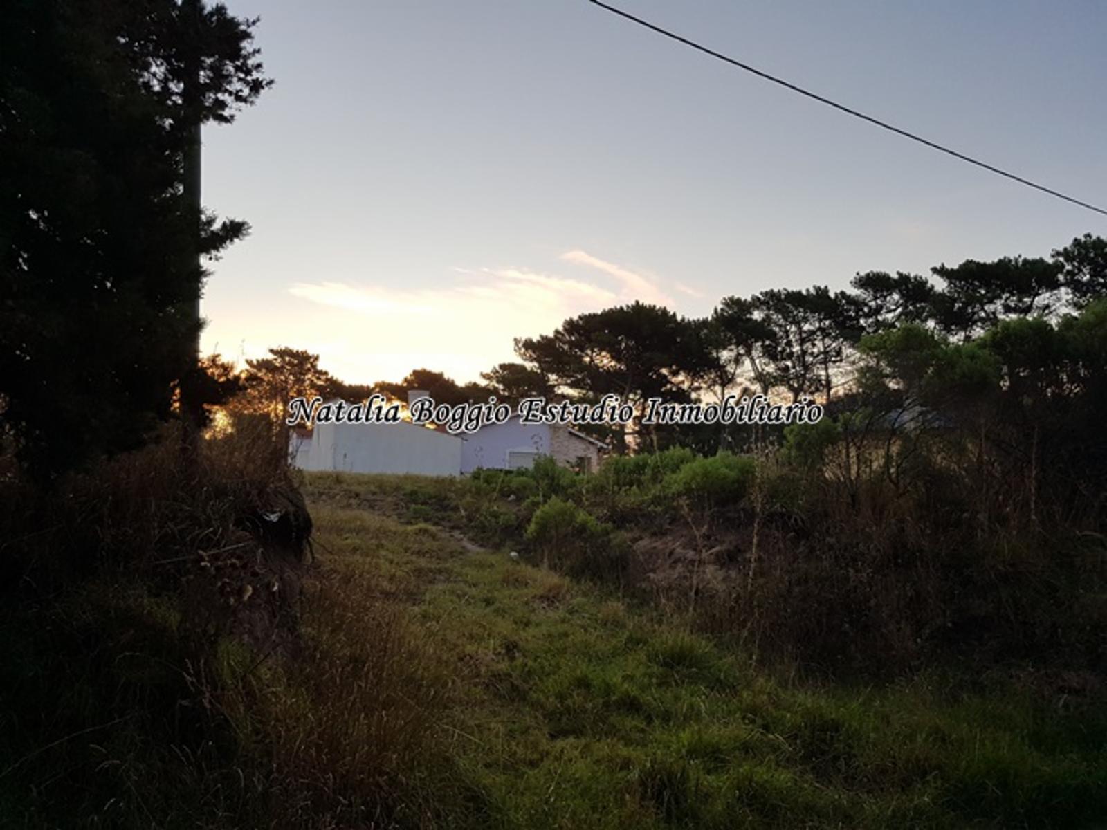 CALLE PARAGUAY · General Alvarado — foto 5