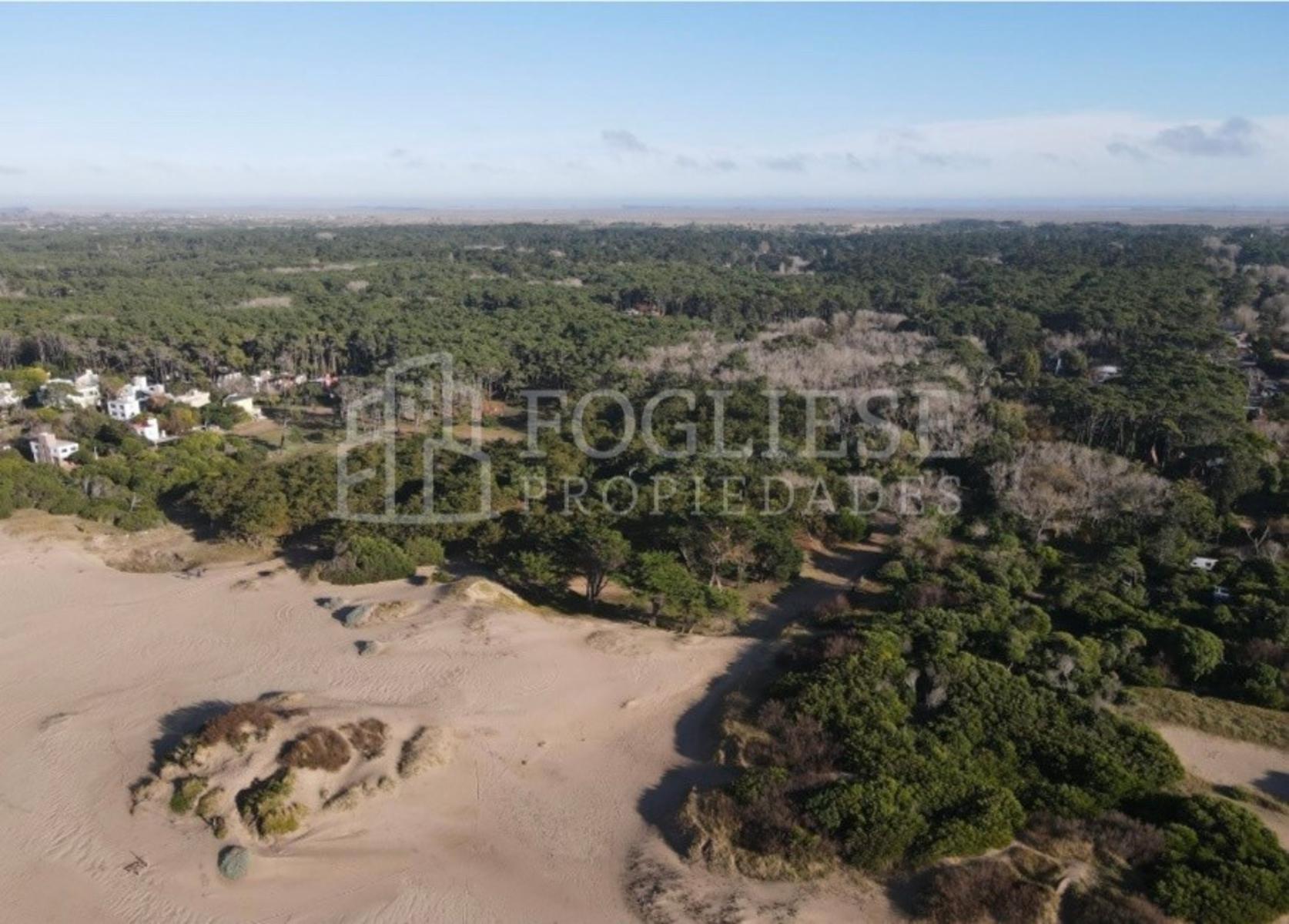 Costanera · Villa Gesell — foto 5