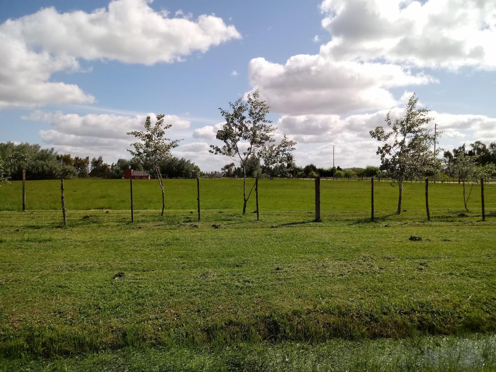 Beltran 100 · Cañuelas — foto 4