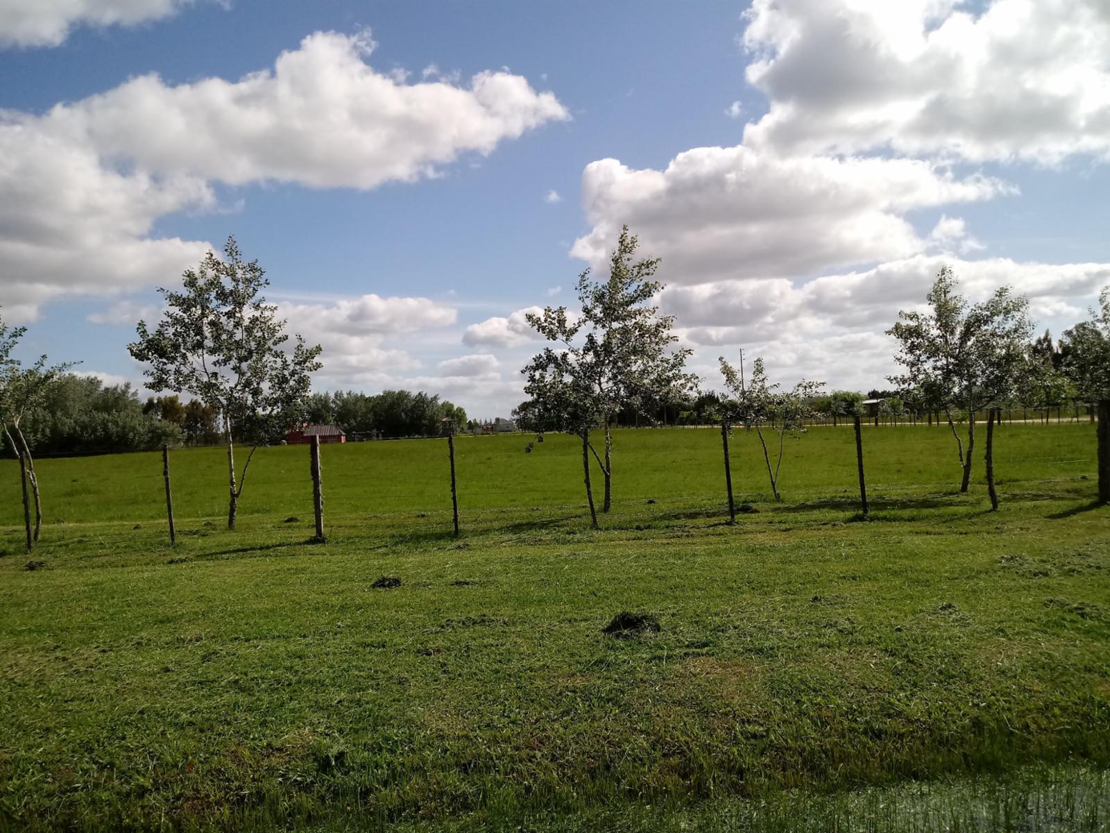 Beltran 100 · Cañuelas — foto 5