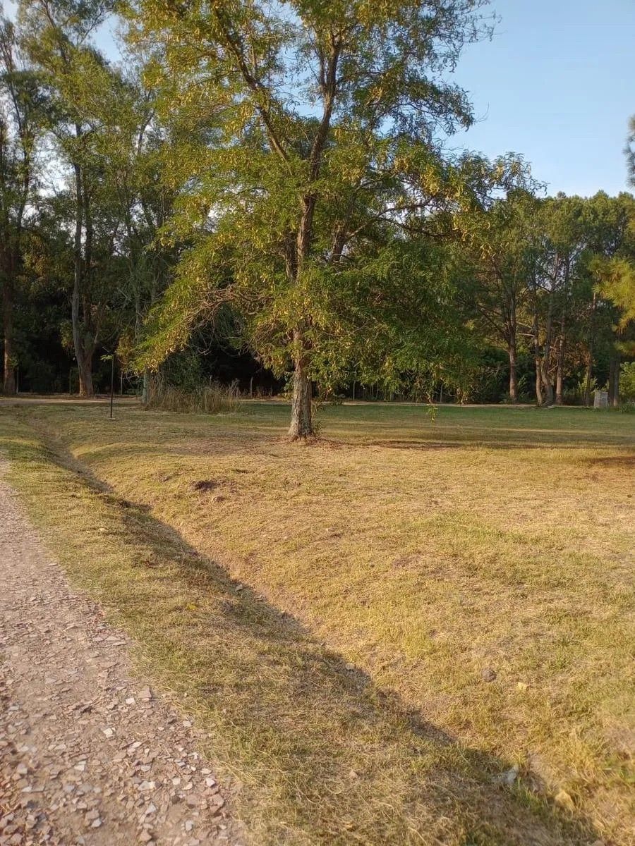 CLUB DE CAMPO AMARYLIS · Exaltacion De La Cruz — foto 3