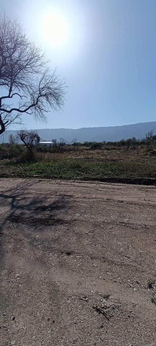 Carpinteria, San Luis · Junín — foto 3