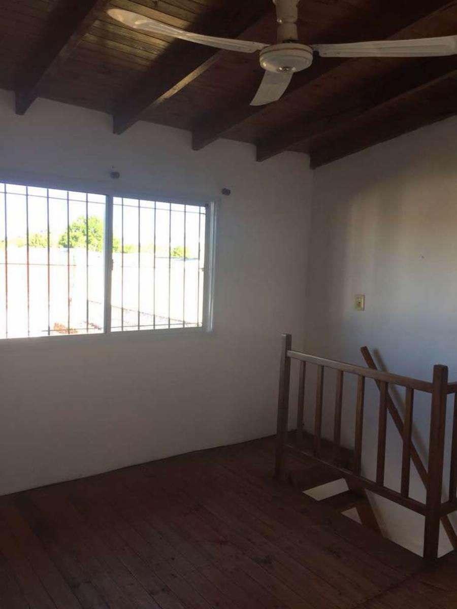 Ratto y Alberdi · San Antonio De Areco — foto 11