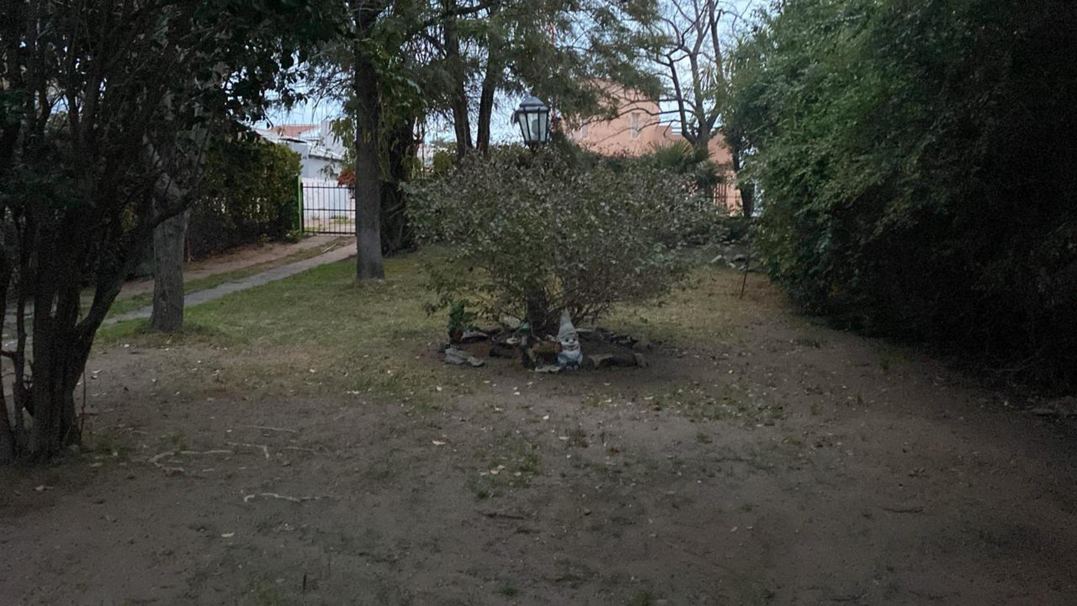 las acacias · Monte Hermoso — foto 3