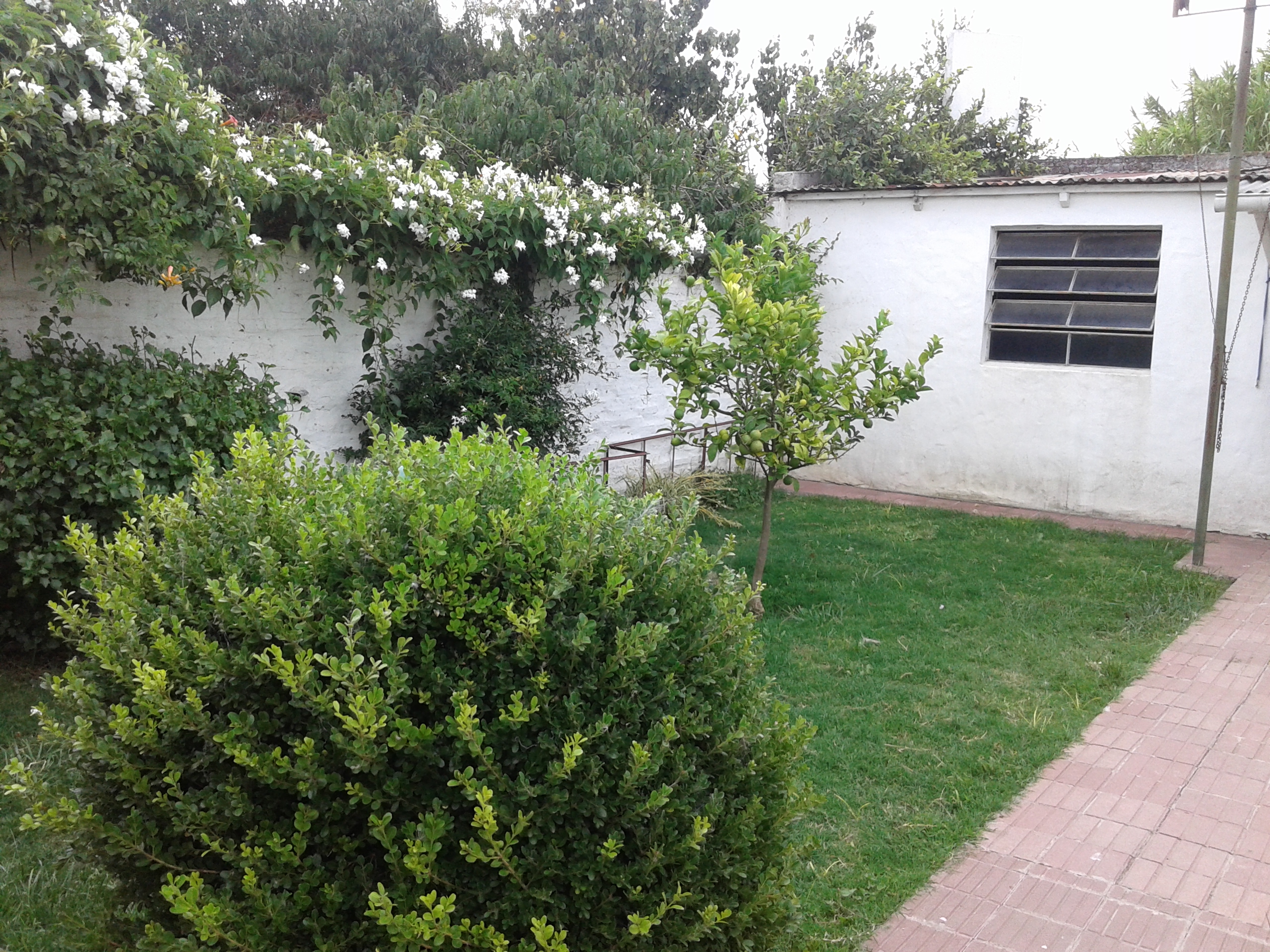 16 Nº 434 · Balcarce — foto 30