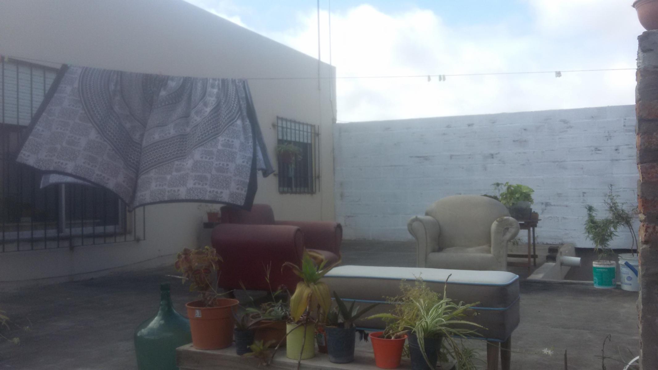 IBERA 7810 · San Martín — foto 5