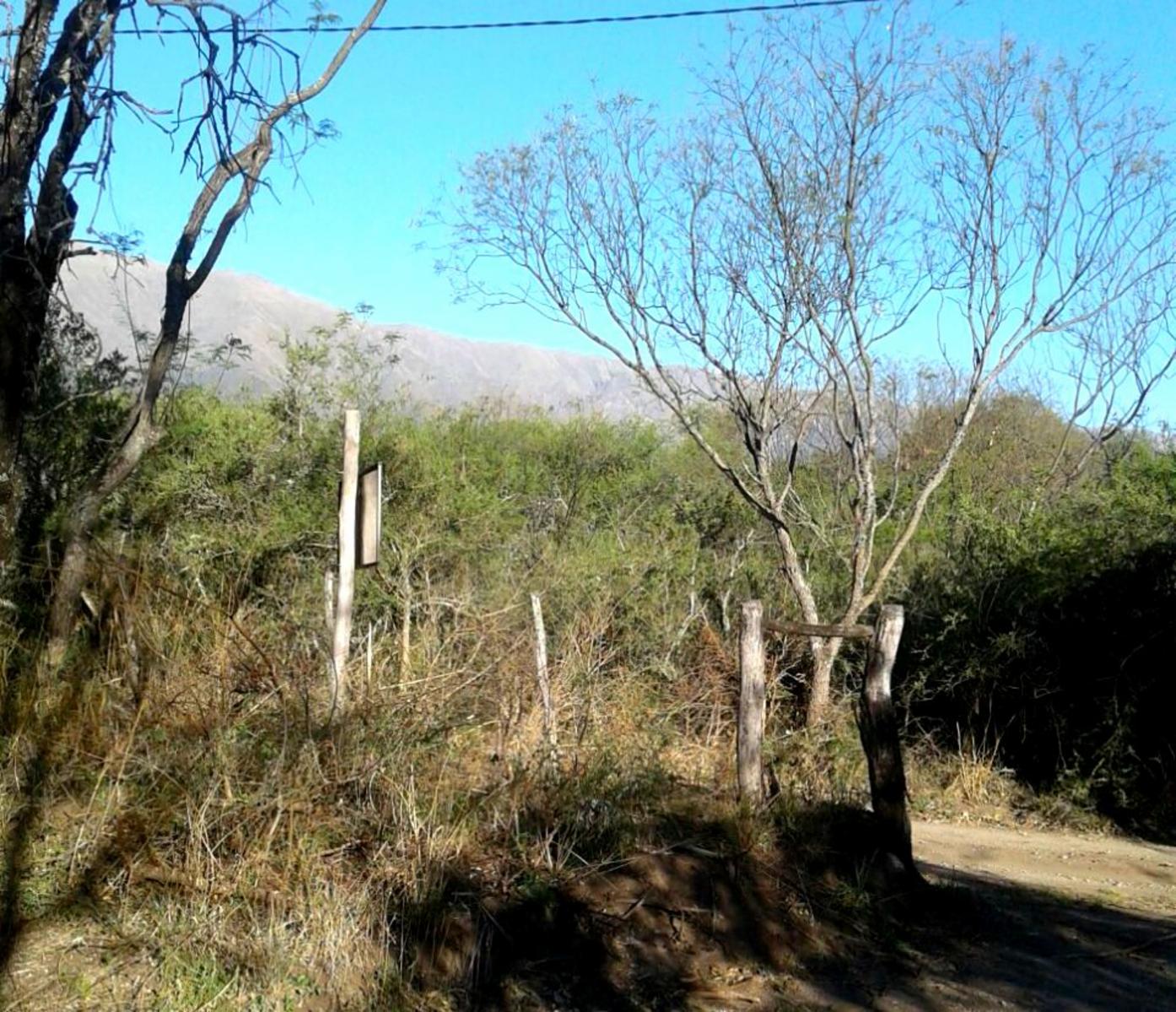 CRUZ DE CAÑA (cba) · San Javier — foto 3