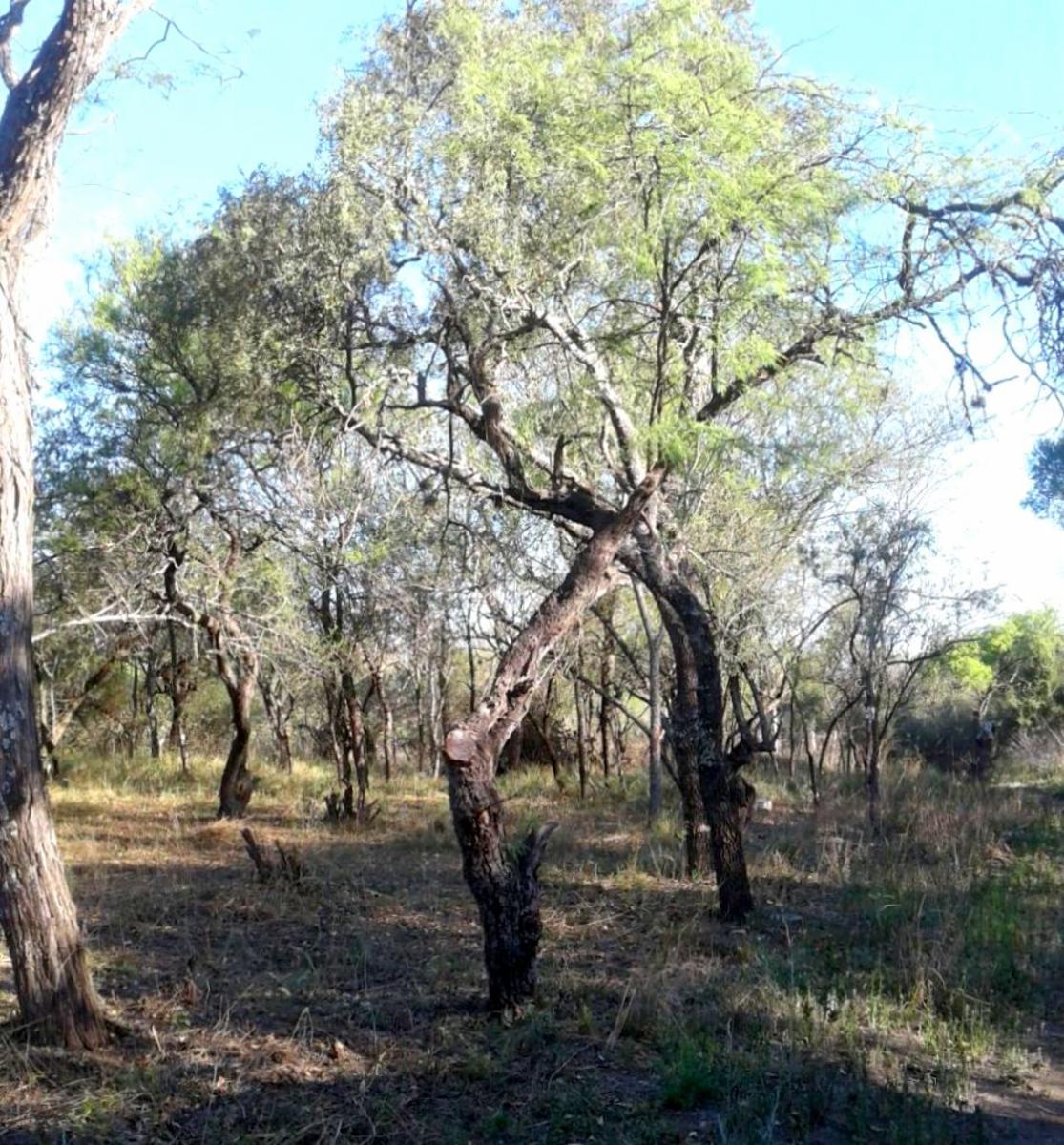 CRUZ DE CAÑA (cba) · San Javier — foto 4