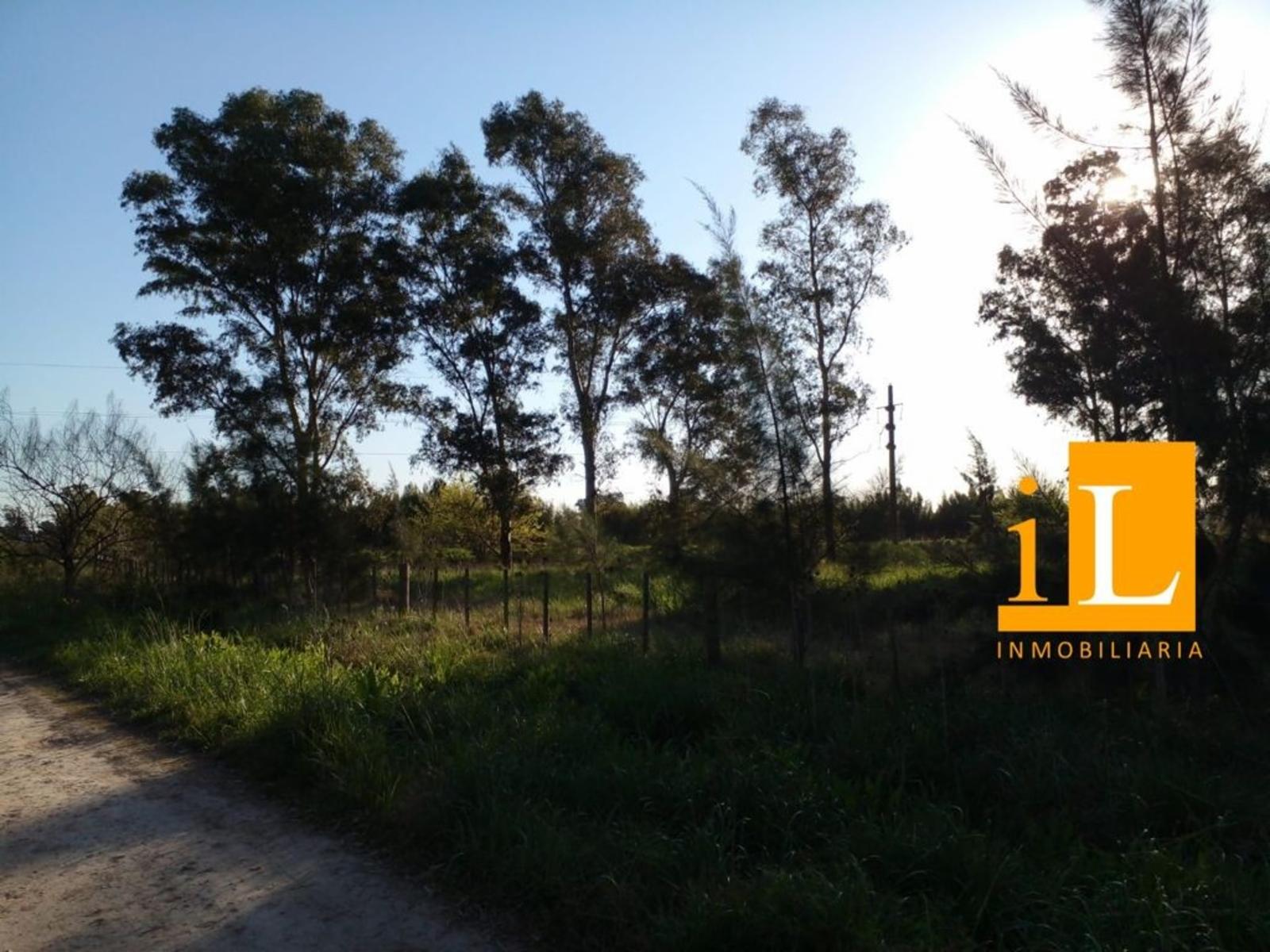 Ruta 210 - Km 61.800 · Brandsen — foto 4
