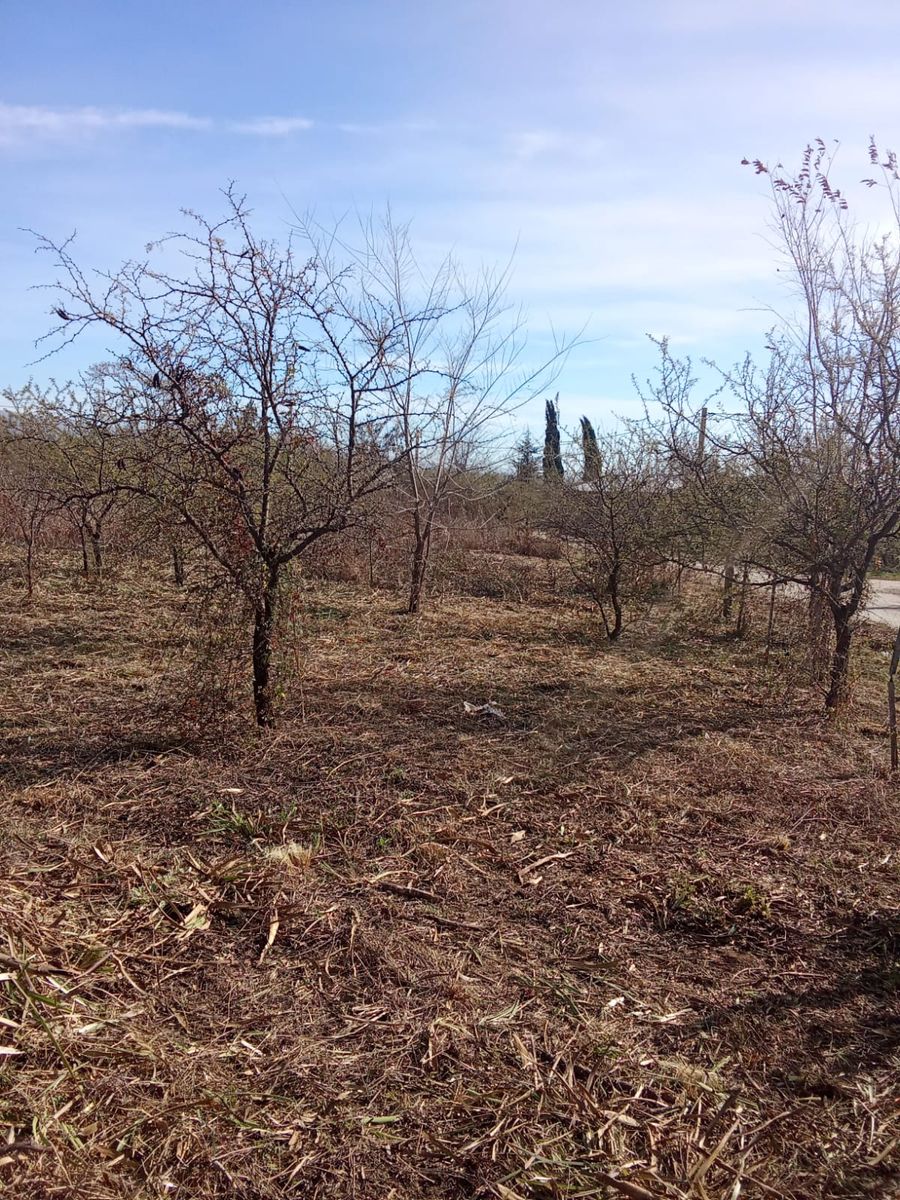 Saturno · Santa María — foto 15