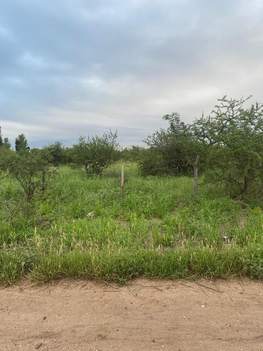 Saturno · Santa María — foto 10