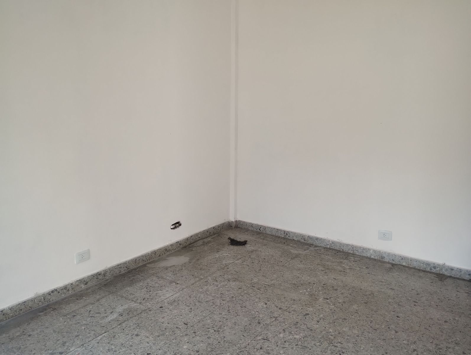 33 Orientales y Gervasio Méndez · Almirante Brown — foto 5