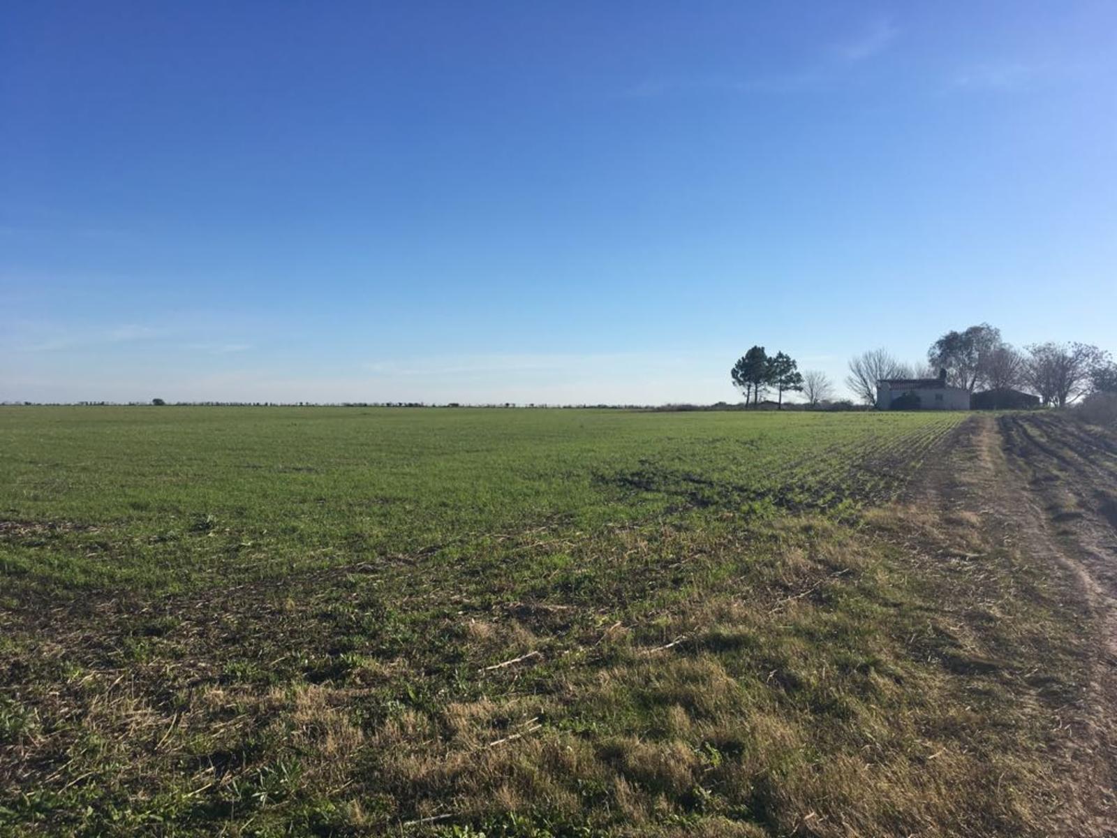 Autovia Nacional 14 km 108 · Uruguay — foto 8