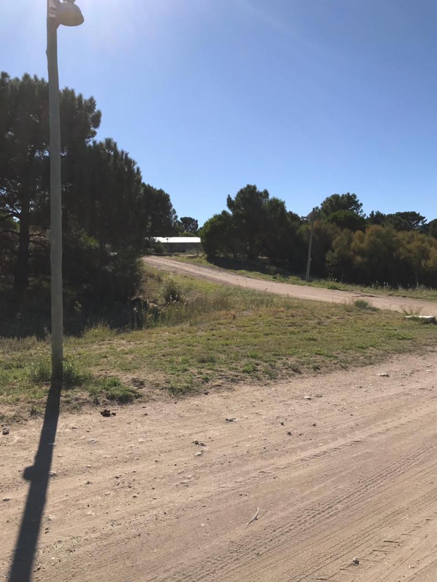 Avenida Sansot entre el chimngo y El Gavilán · Monte Hermoso — foto 5
