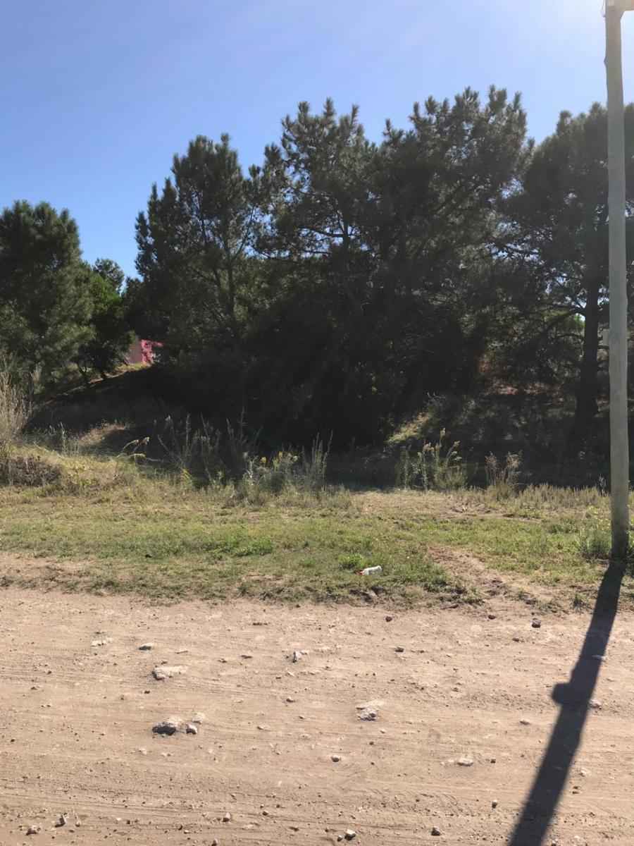 Avenida Sansot entre el chimngo y El Gavilán · Monte Hermoso — foto 10