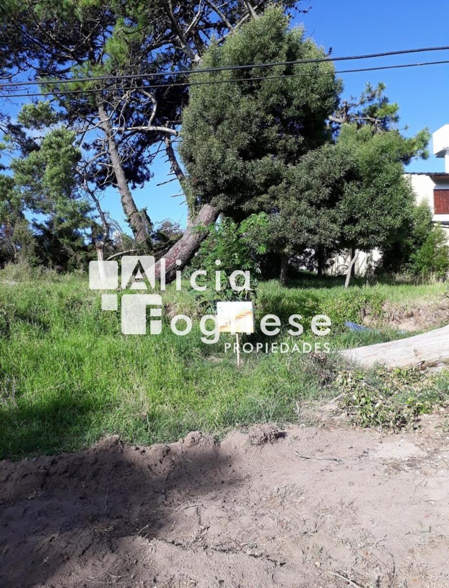 Paseo 115 entre Avenidas 3 y 4 · Villa Gesell — foto 3