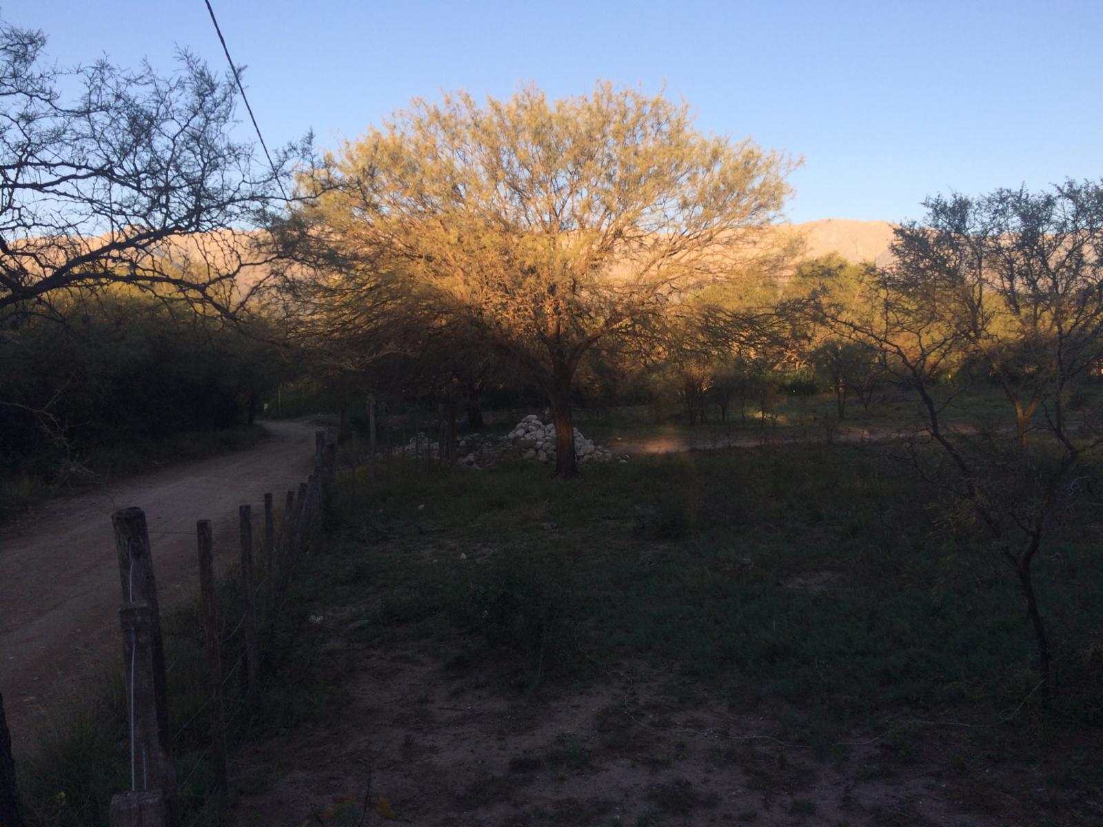 Villa de las Rosas · San Javier — foto 4