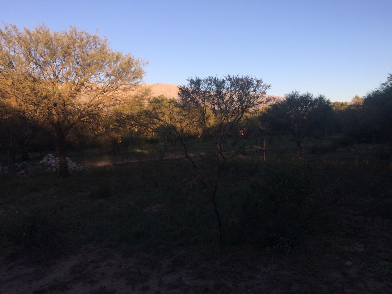 Villa de las Rosas · San Javier — foto 7
