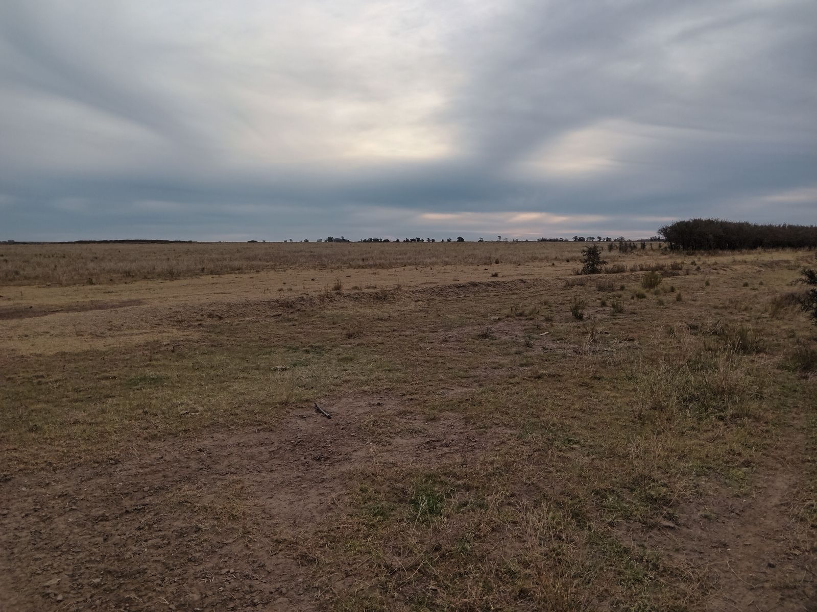 Campo en Patagones 1600. Hectáreas · Patagones — foto 3