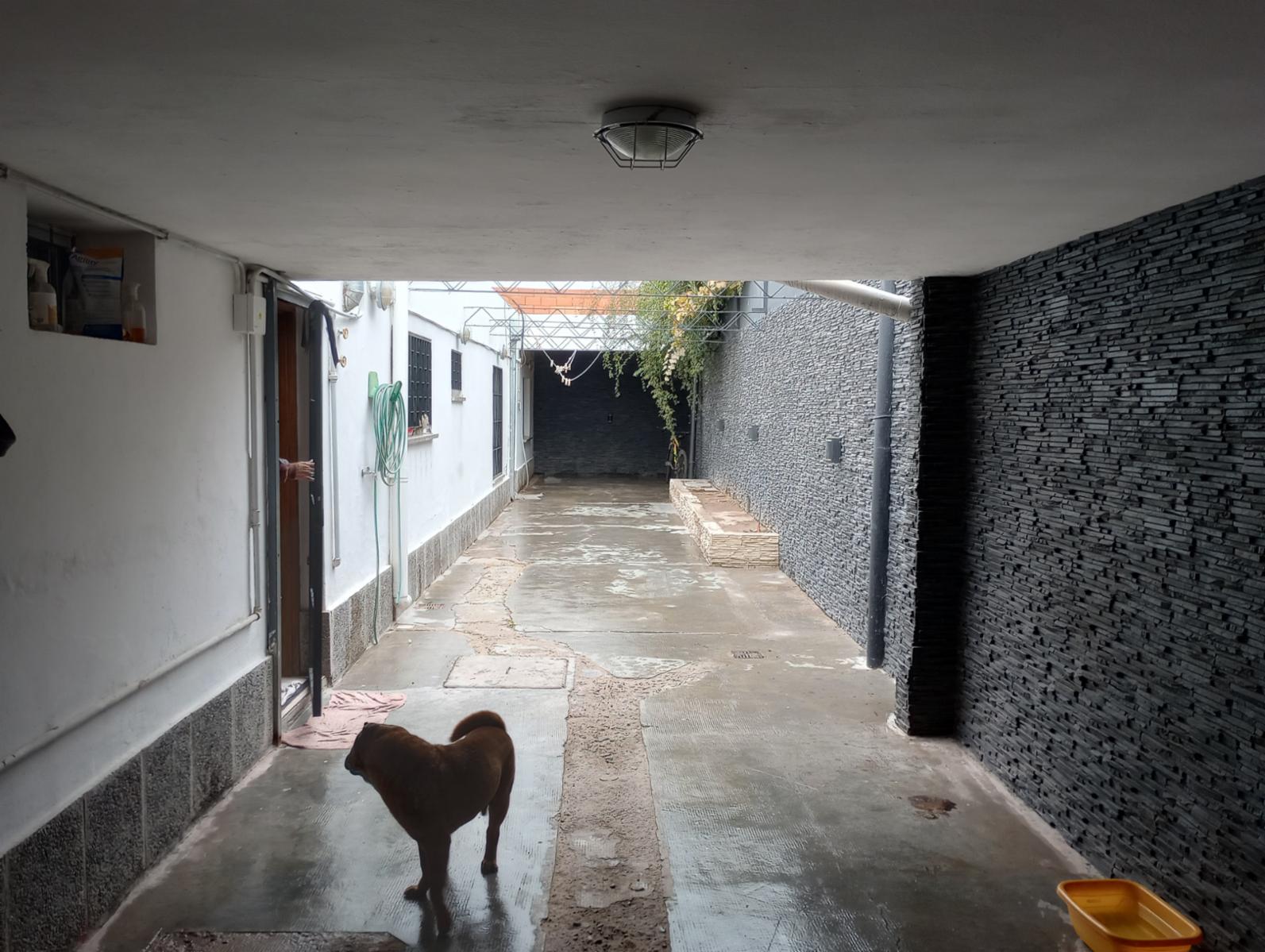 Tres Arroyos 736 · General Roca — foto 31