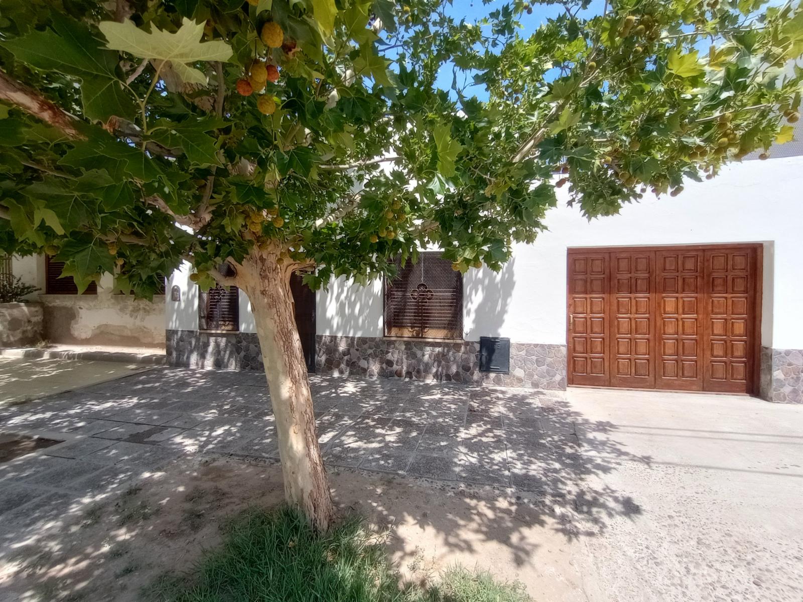 Tres Arroyos 736 · General Roca — foto 33