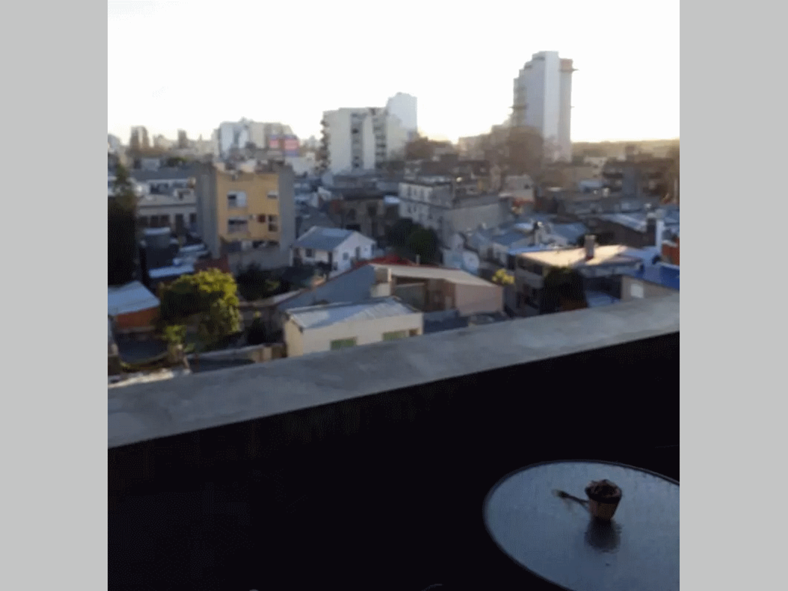 Padilla 1200 · Chacarita — foto 5
