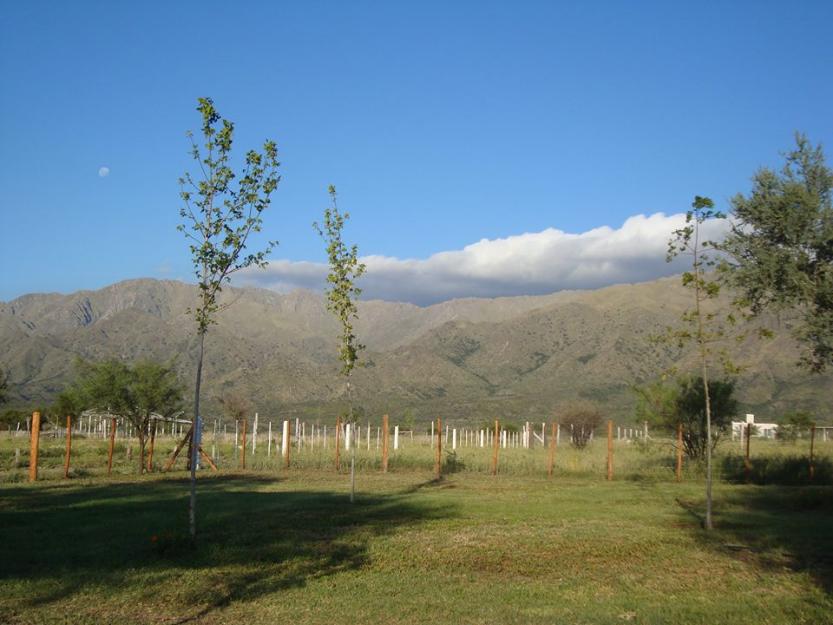 Zona Serrana · La Capital — foto 5