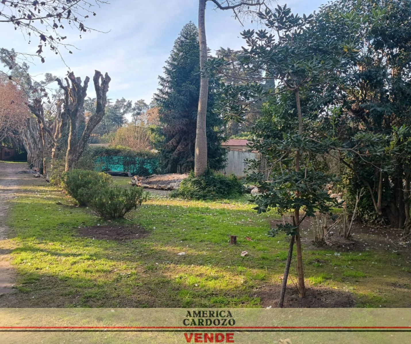 SOLIS · Moreno — foto 3
