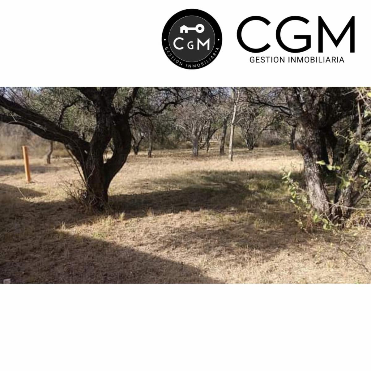 CASA EN VENTA EN LOS MOLLES FINANCIADA.  (ENTREGA  DEL 50 % RESTO A CONVENIR) · Junín — foto 6