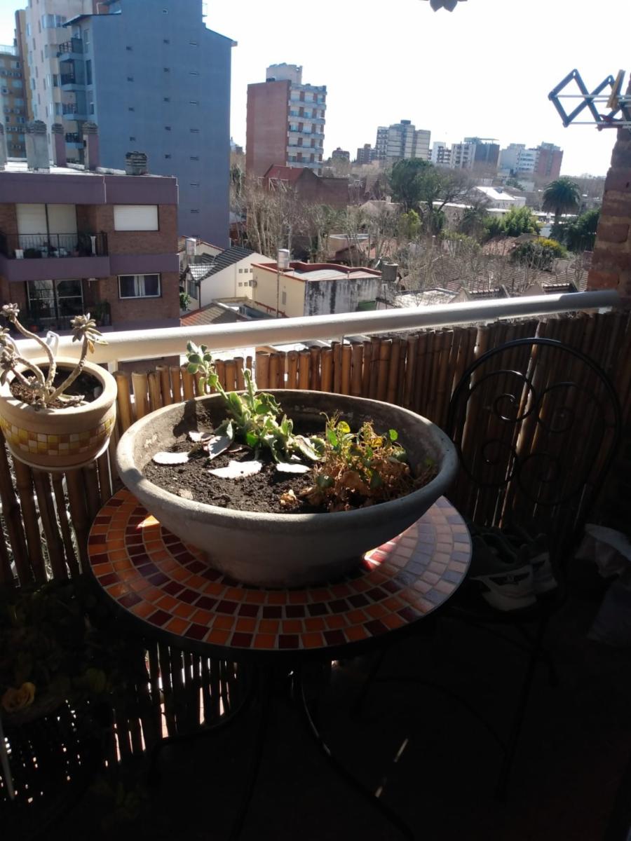 Rotta 220 · Esteban Echeverría — foto 30