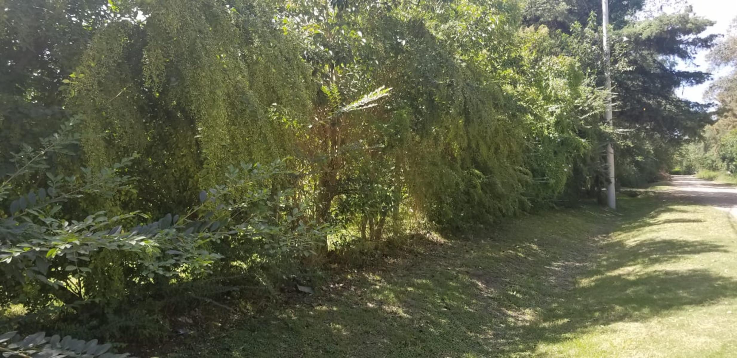 LOTE DE 833M² EN LA BOTA - ING. MASCHWITZ · Tigre — foto 3