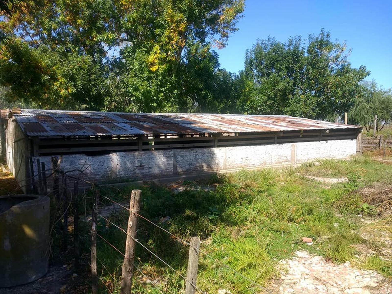 CALLE TIERRA JOVEN · Florencio Varela — foto 6