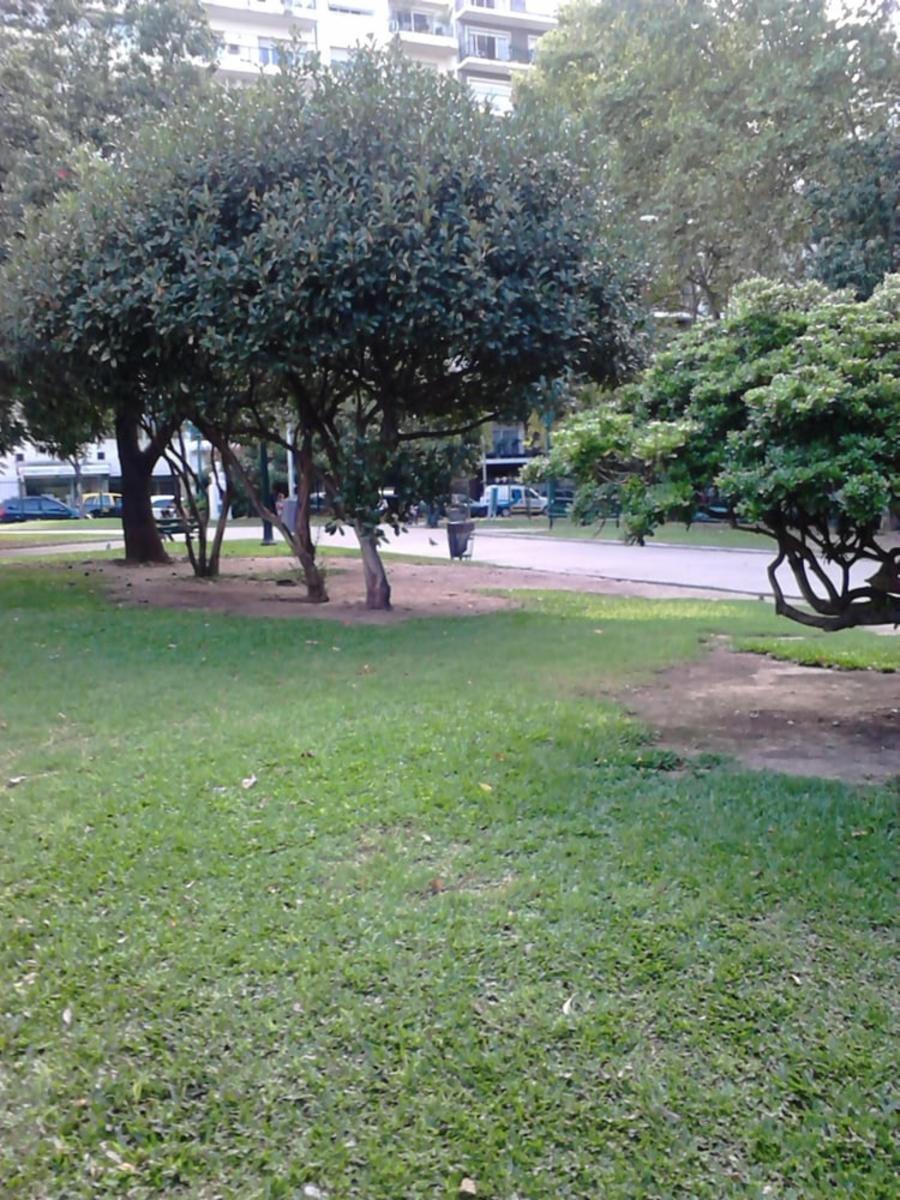 Juncal 1900 · Recoleta — foto 13