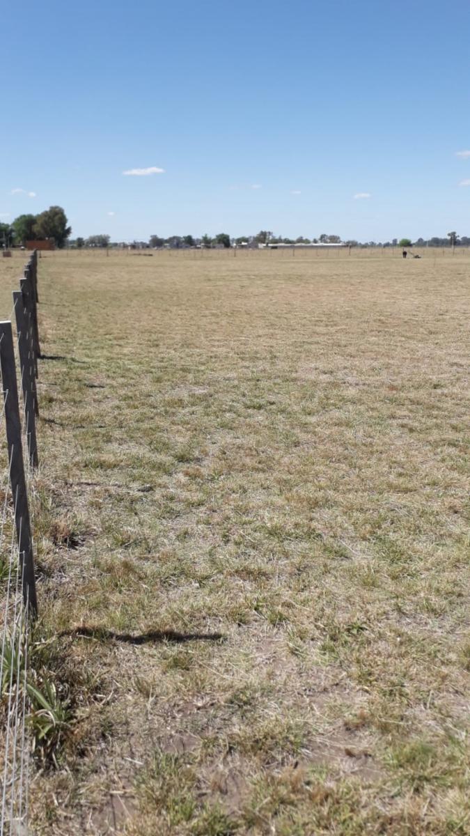 ruta 205 · Cañuelas — foto 11