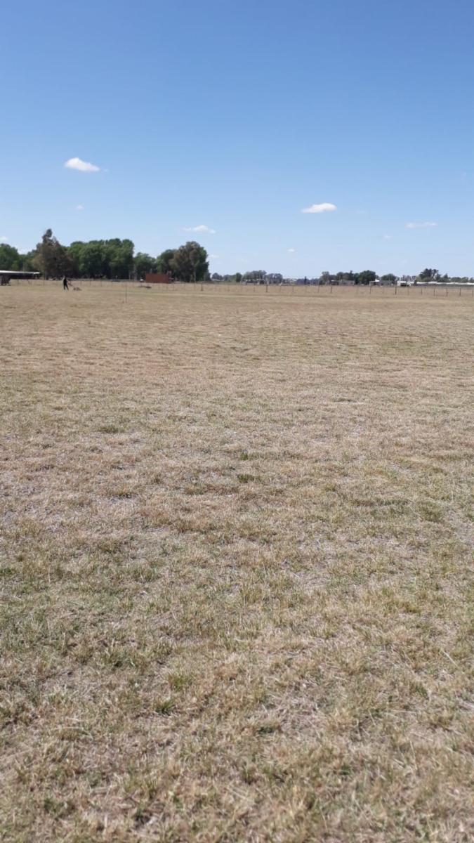 ruta 205 · Cañuelas — foto 12